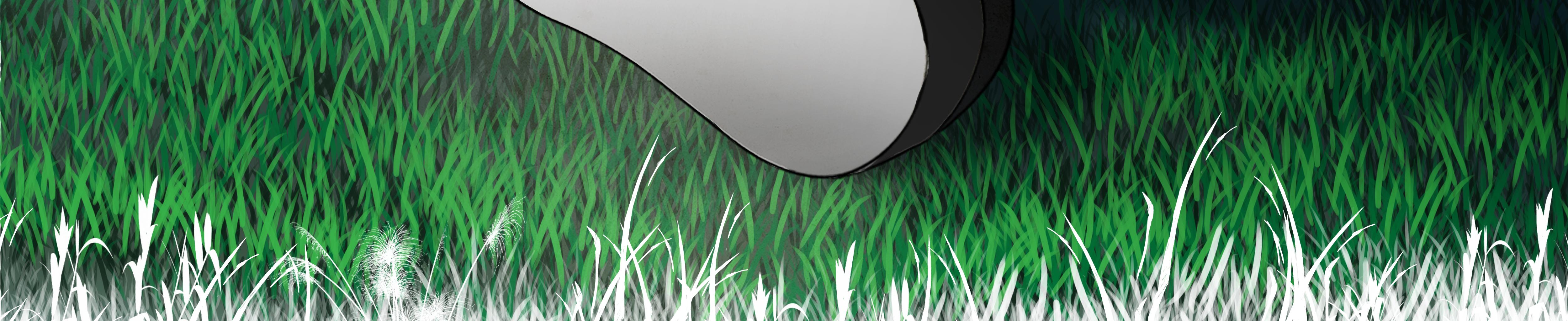 Image 31 Cut